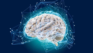 Категории услуг